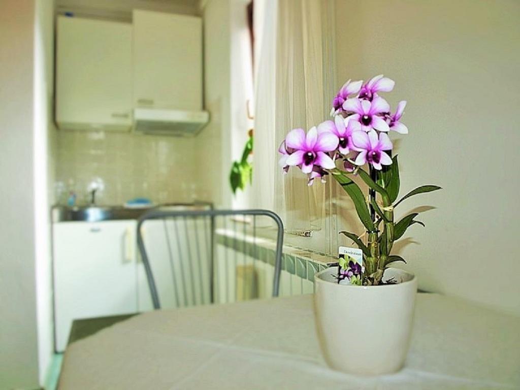 Apartment Koric Ičići Dış mekan fotoğraf